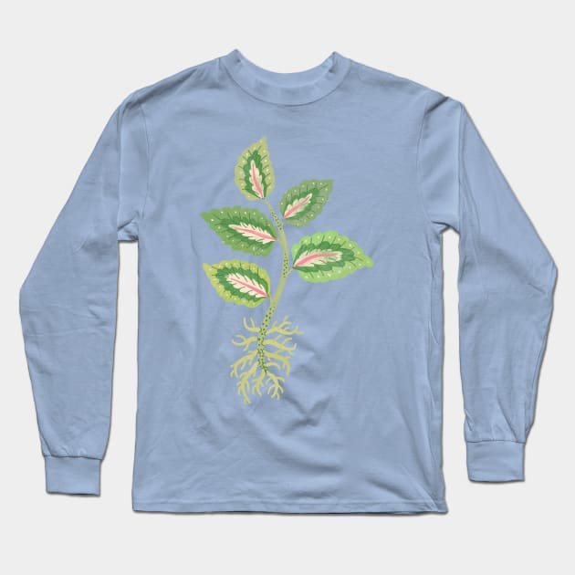 Coleus Cutting Long Sleeve T-Shirt by Rebelform